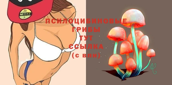 spice Бородино